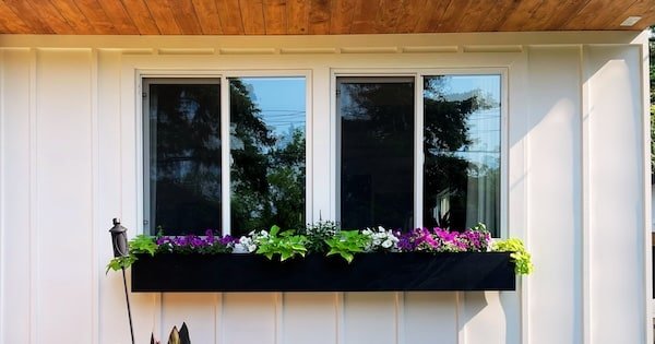 modern black window box on white siding filled with flowers and vines