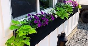 modern black DIY window box full of plants and vines